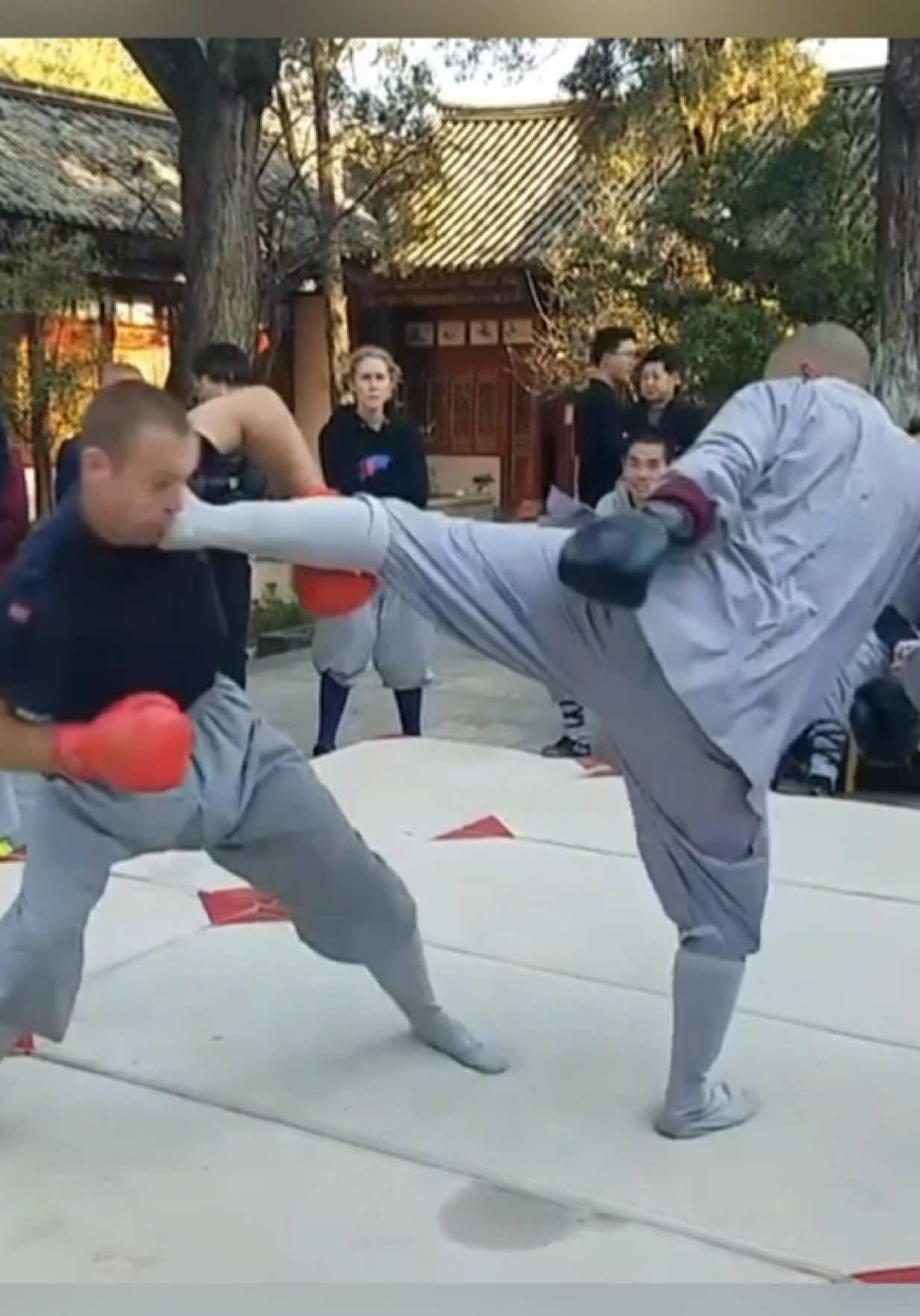 @FightingLab