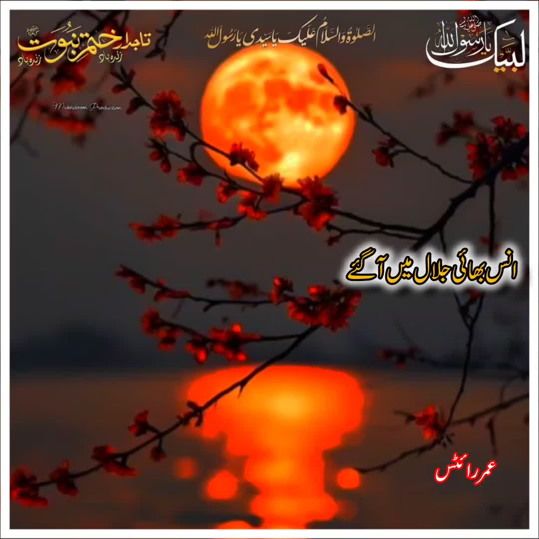 @☝️⭐༄گمنام مجاھد༄⭐💫