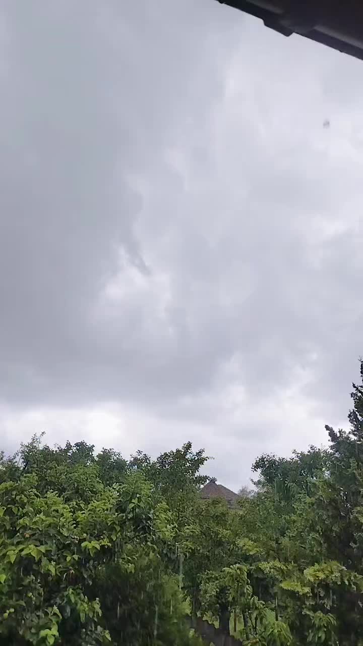 @Danezu