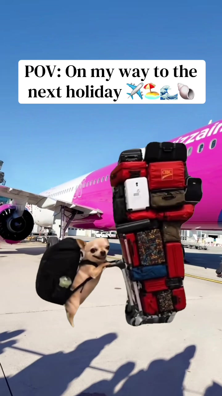 @Travel Millionaire 💸🤑🌸