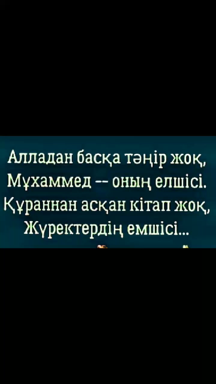 @Тойгул