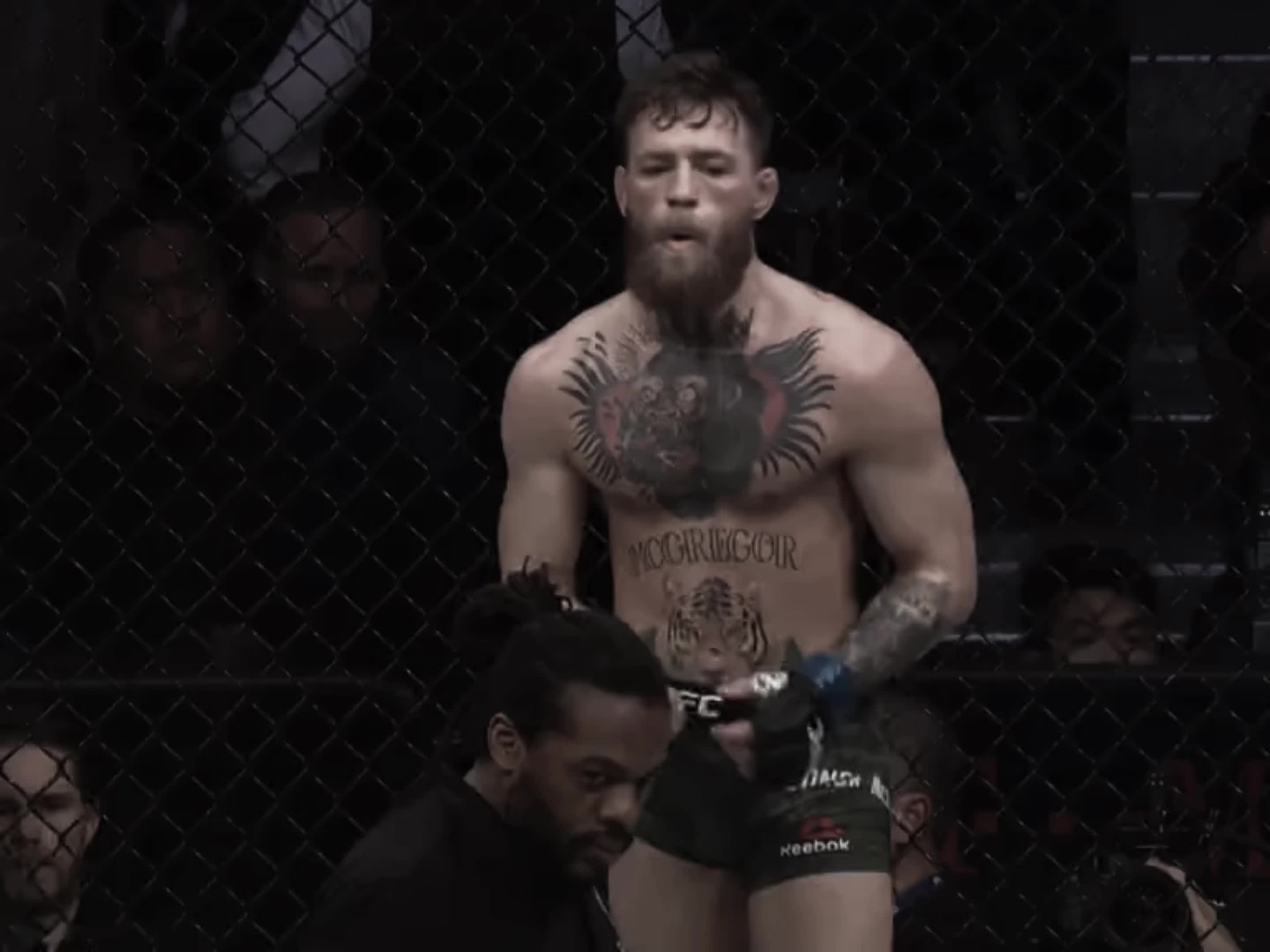 @w r e s t l e r 🤼♂️