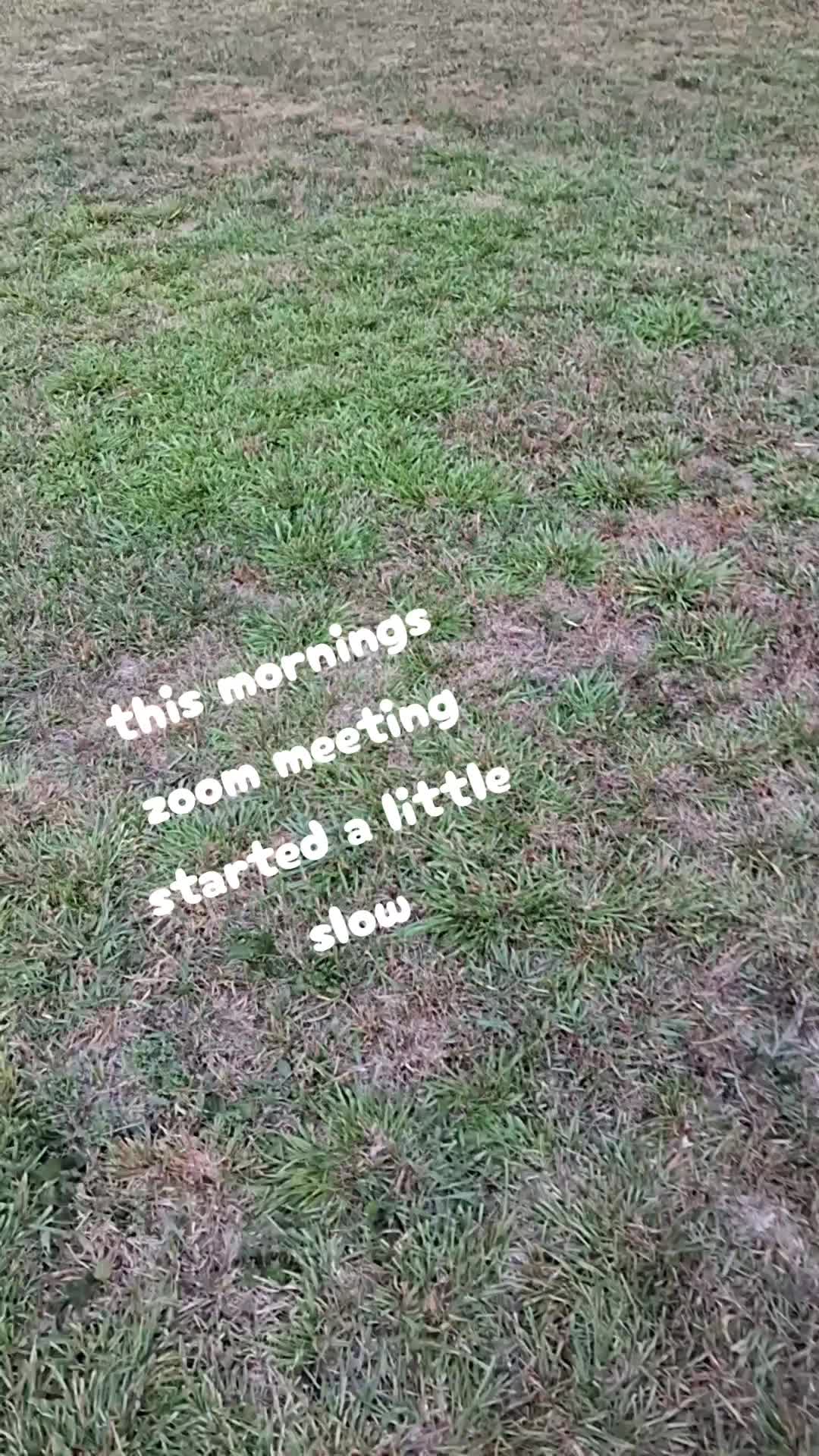 @dorissaddle_soul