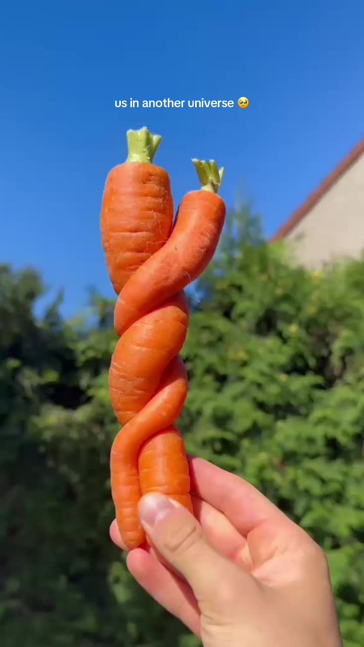 @Sunny.fyy