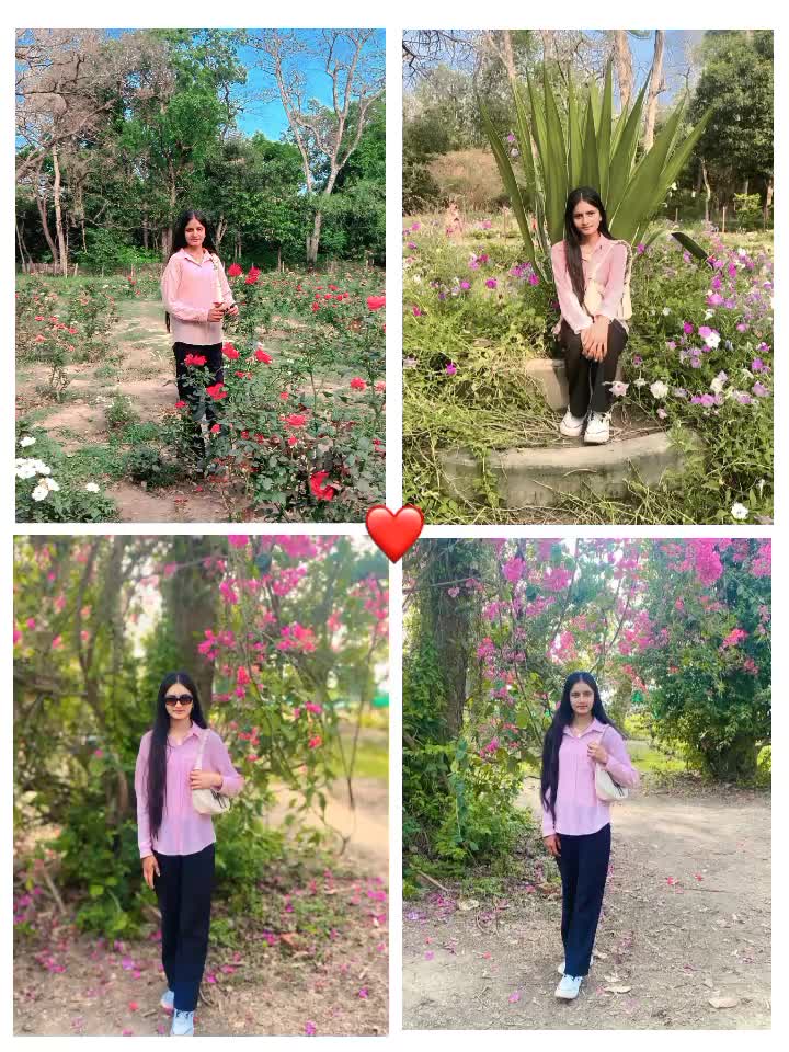 @purnima bist