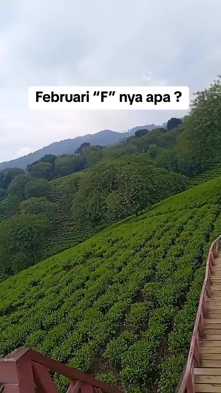 @🇲🇨🇵🇸 Mawar Merah 🌹