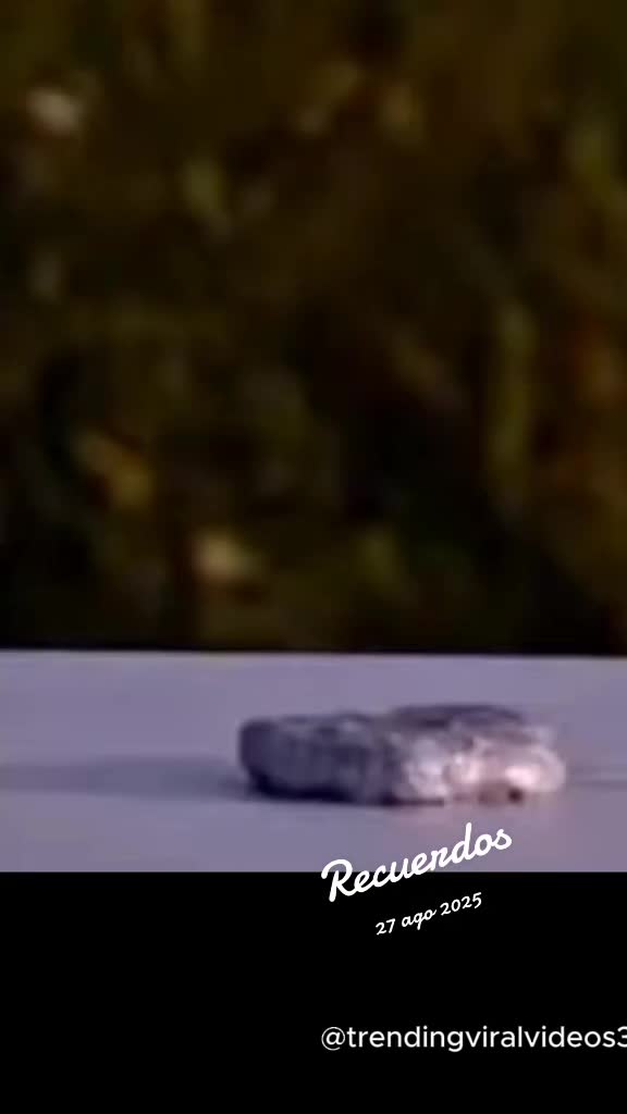 @curiosity