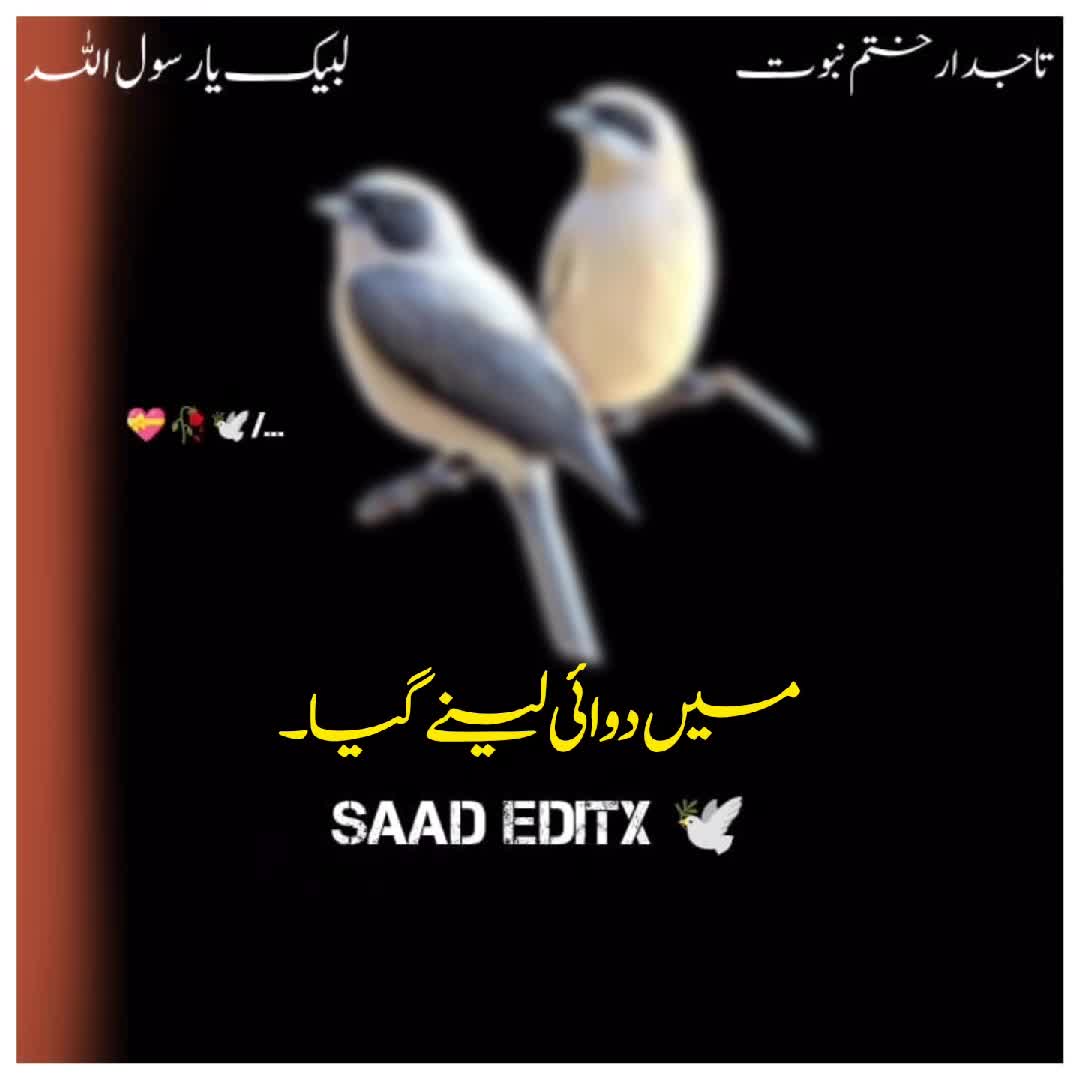 @𝗦𝗮𝗮𝗱 𝗘𝗱𝗶𝘁𝘅 🕊️