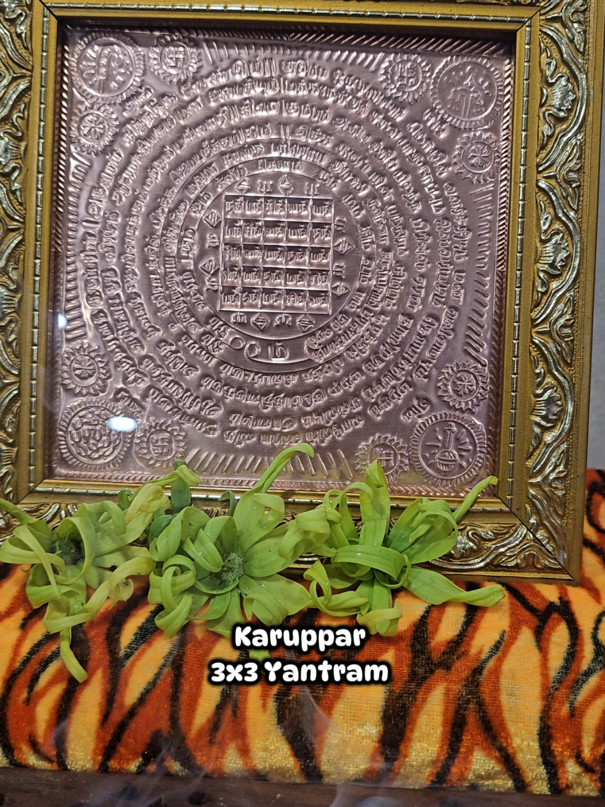 @MayanaMuniappan