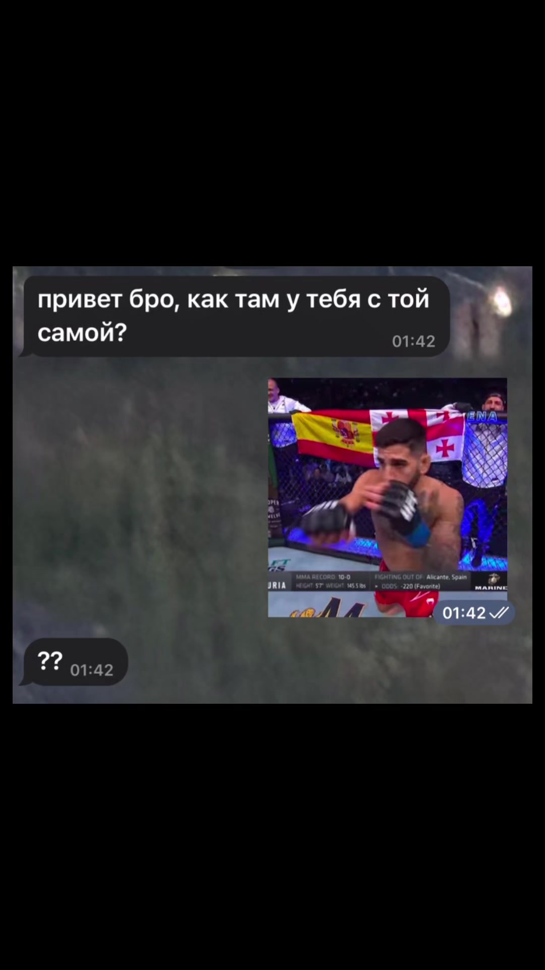 @safin#tiger