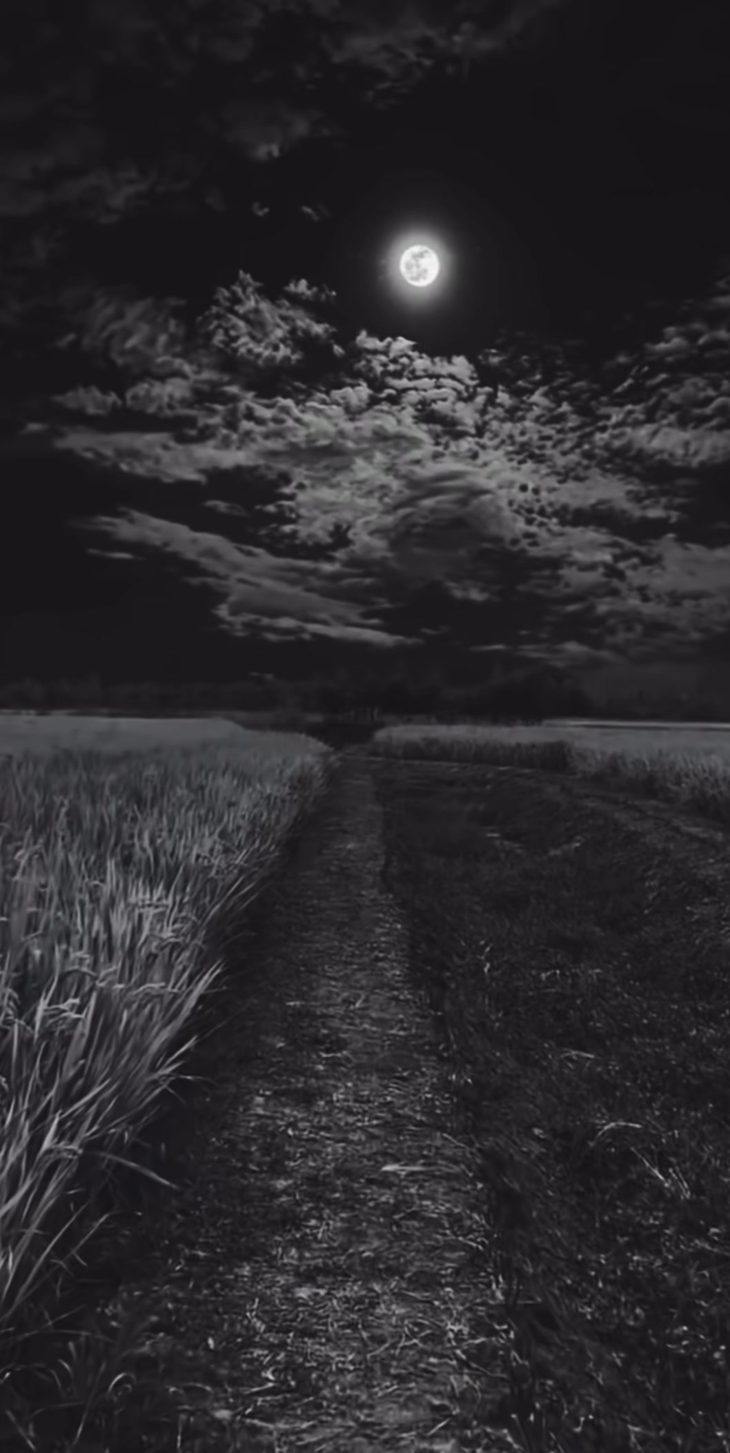 @𝓓𝓲𝓵𝓴𝓪𝔂