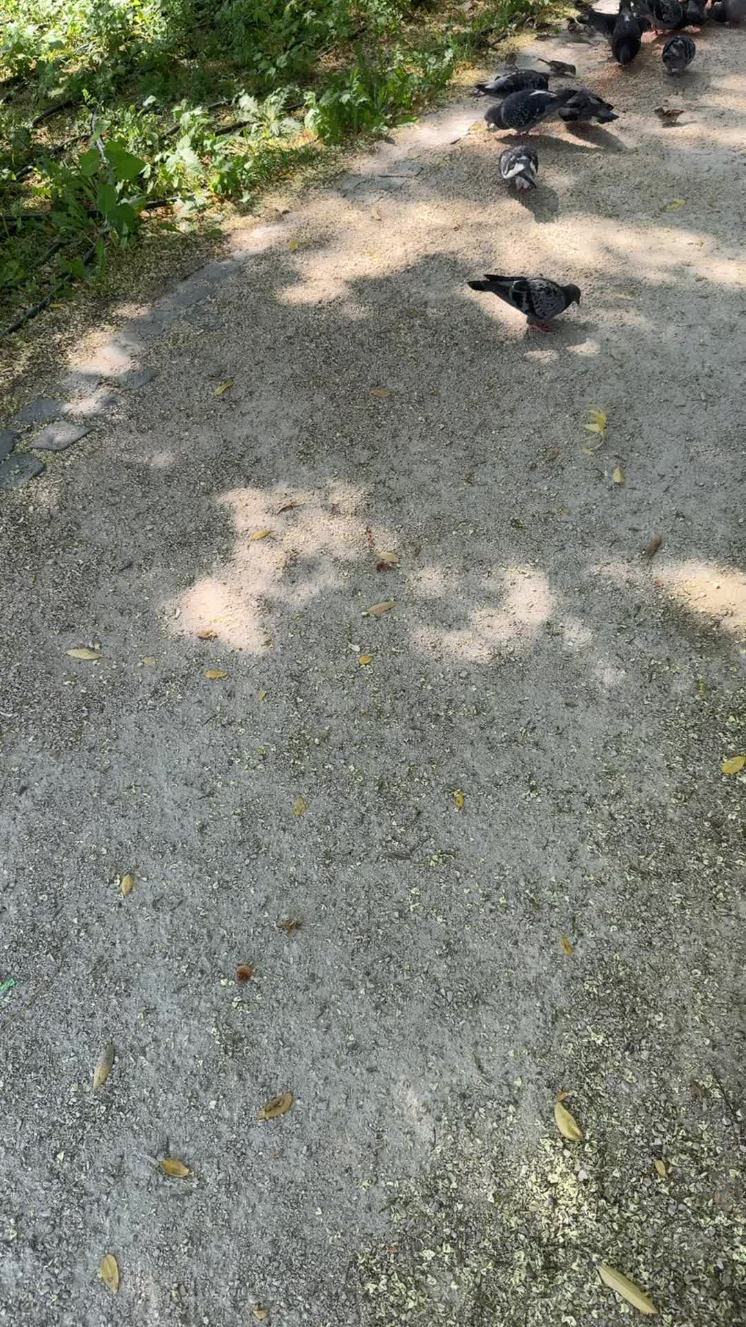 @Gabiclau