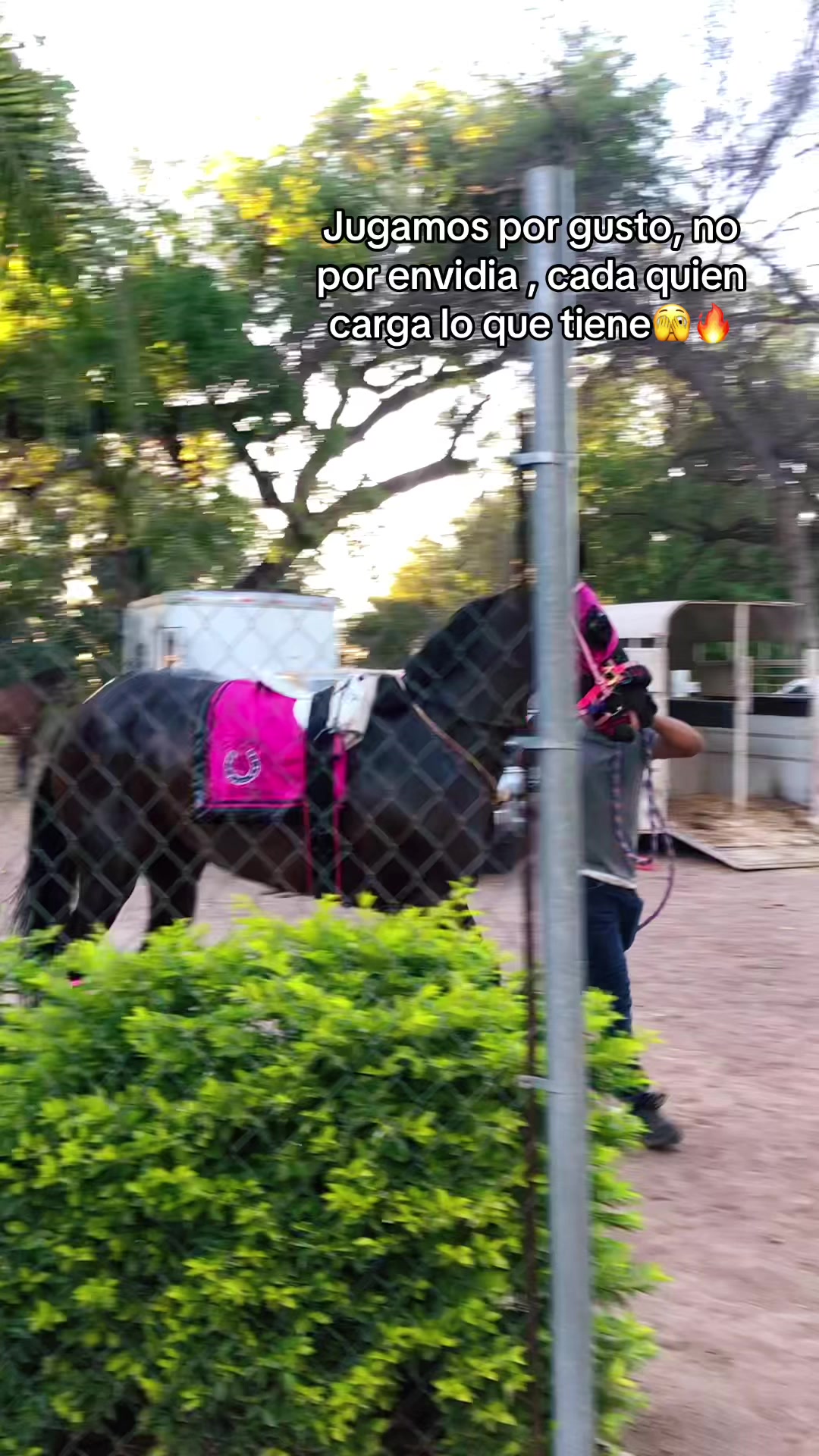 @Anye guzman🏇🏻