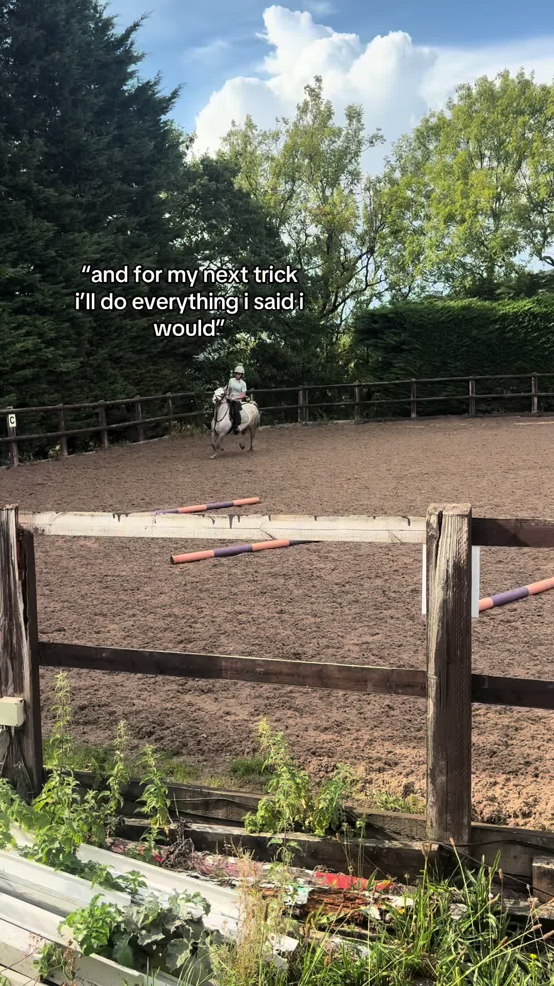 @poppy 🌾🐴 🇬🇧