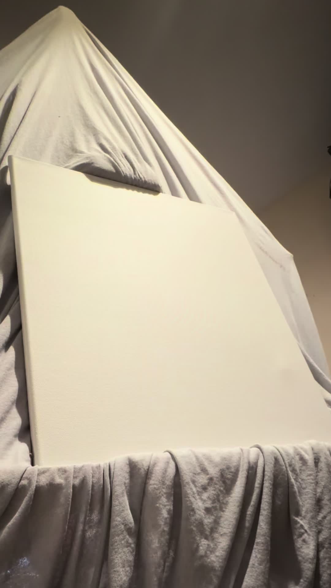 @carmillasframedvortex