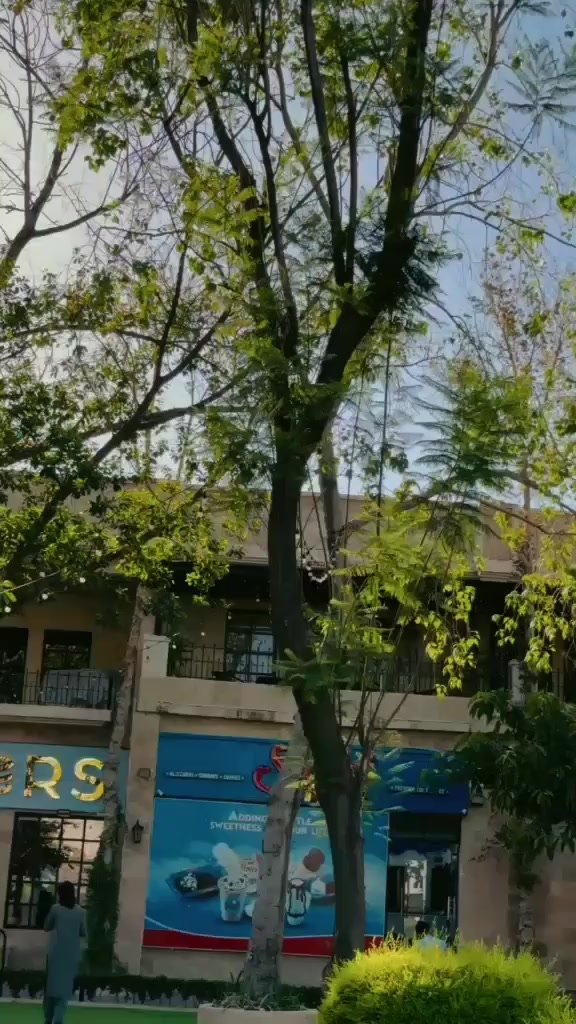 @El_ham❣️
