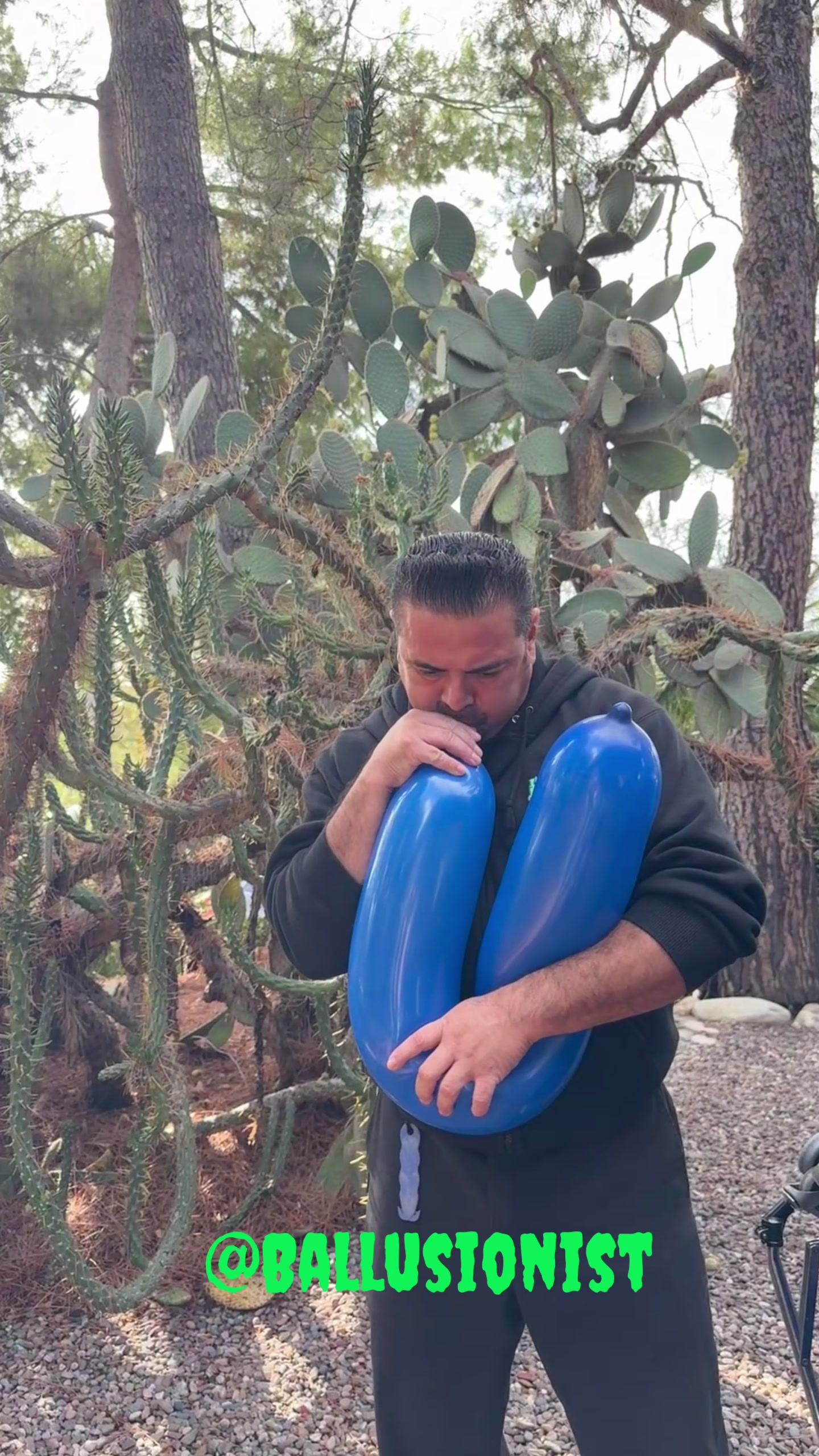 @Ballusionist