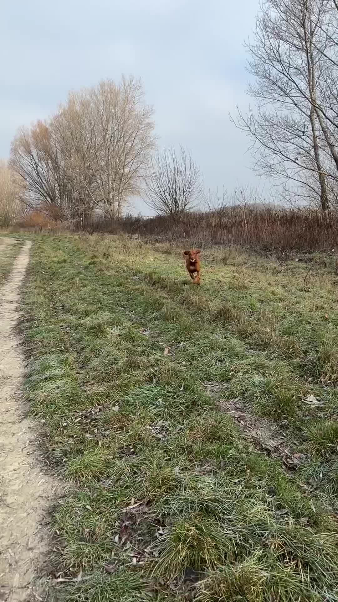 @𝐋𝐮𝐧𝐚