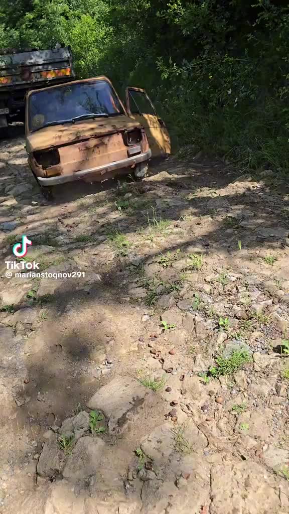 @Антон Георгиев3031