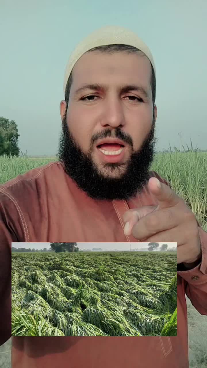 @Sarfraz qadri sahu