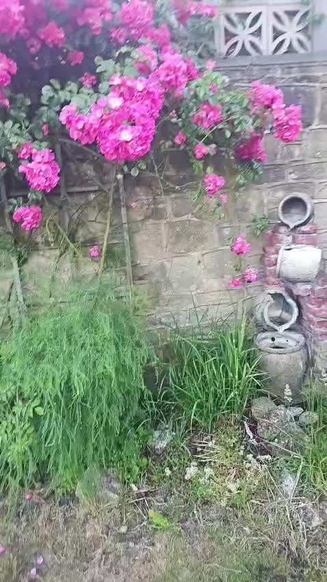 @proud kashmiri