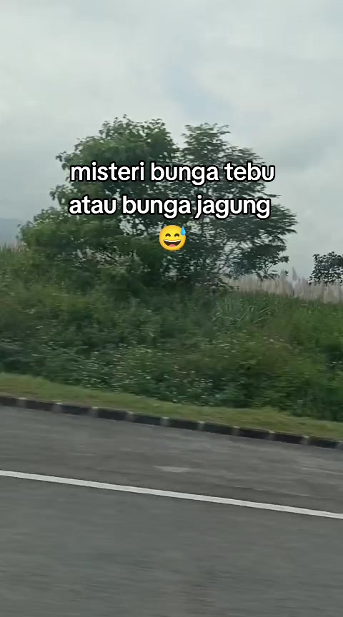 @nabilasafa