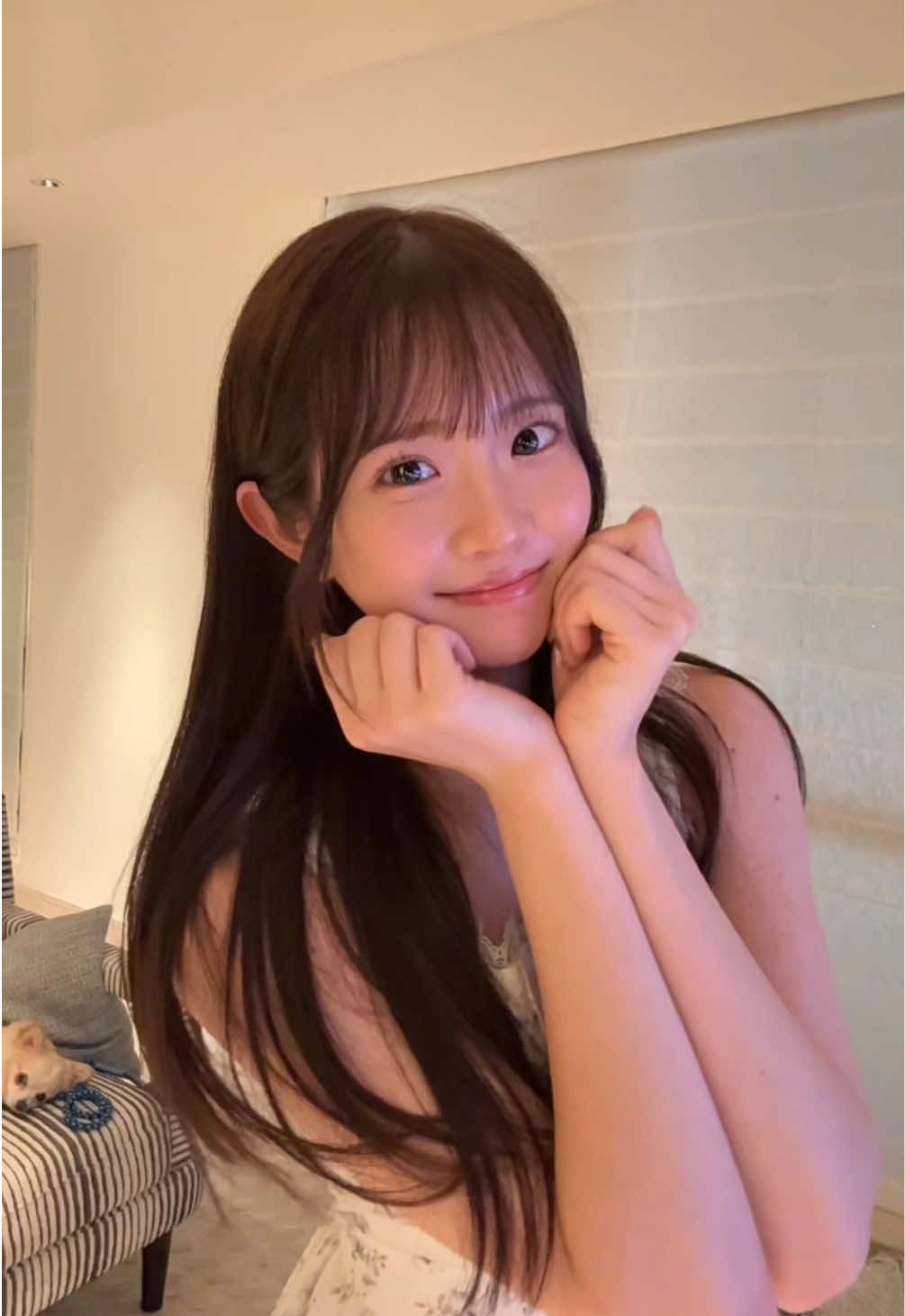 @白上咲花