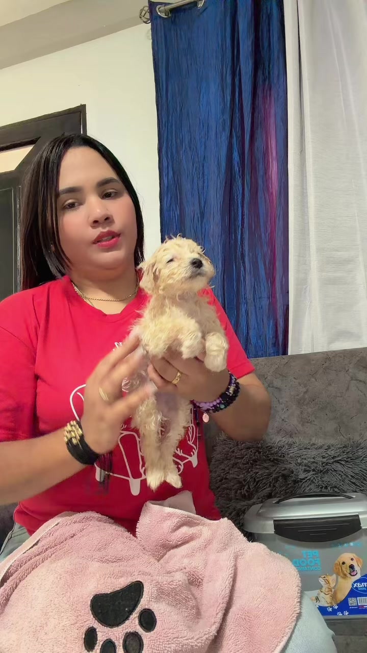 @Deyventas_virtuales