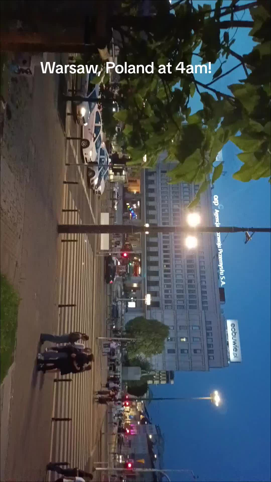 @Xeno