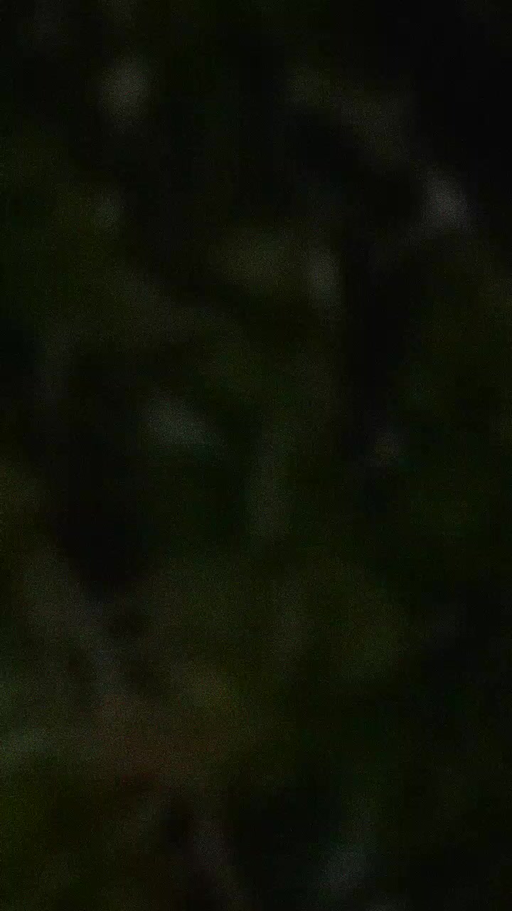 @R á s h î 🌀🐬