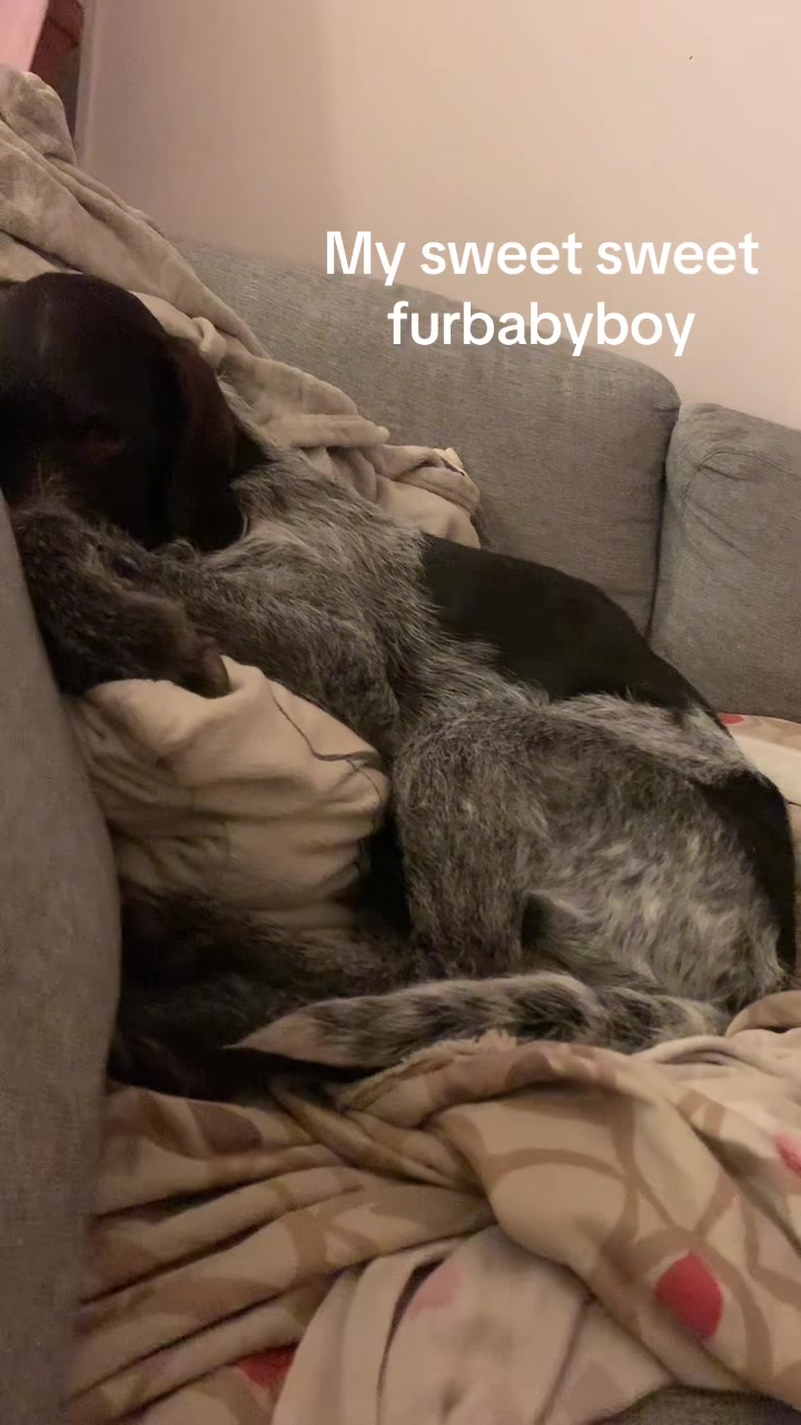 @tanitluraninthehouse