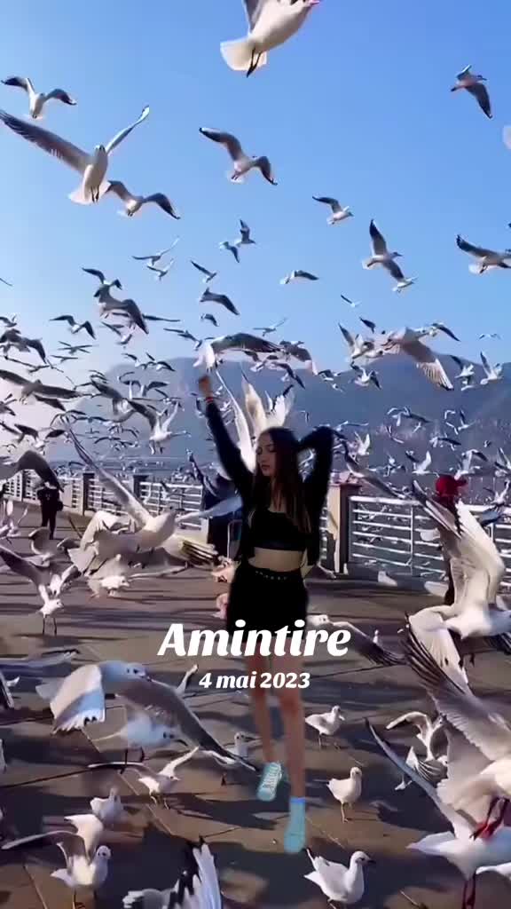 @Vipera