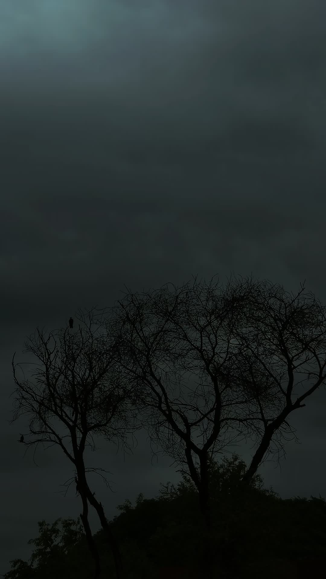 @𝙼𝐻