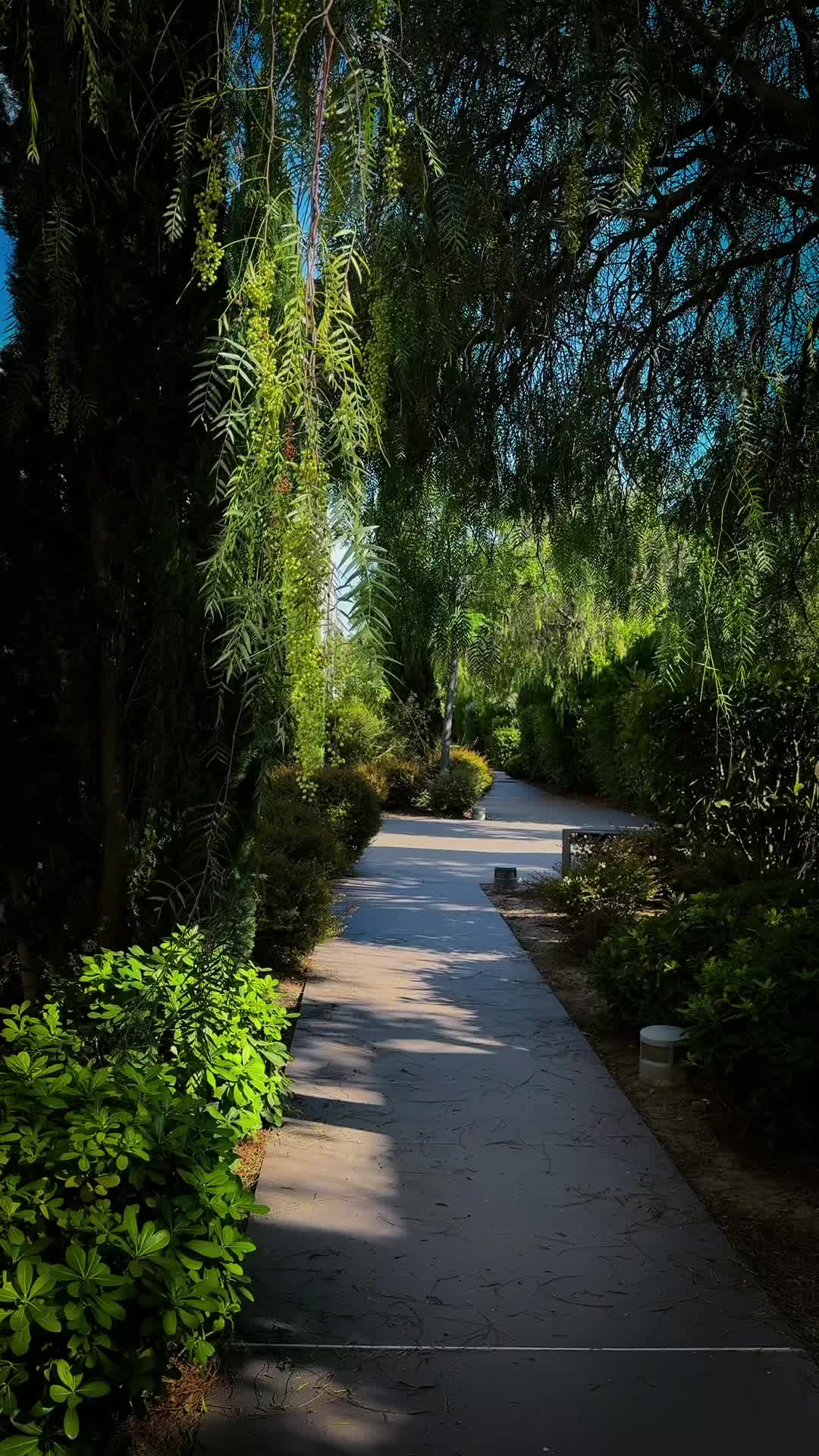 @☀️Elena🌜☘️🌾🌻🌺