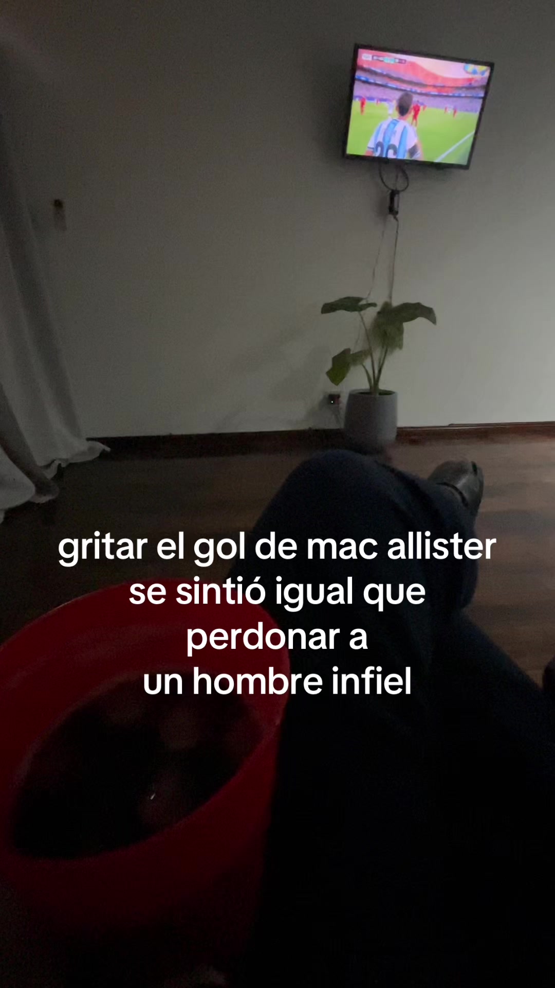 @shuulix