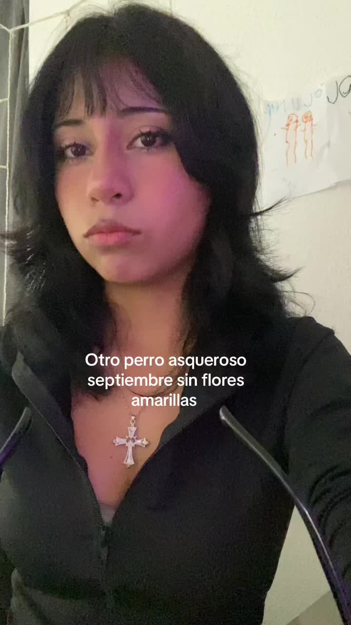 @korii.meow