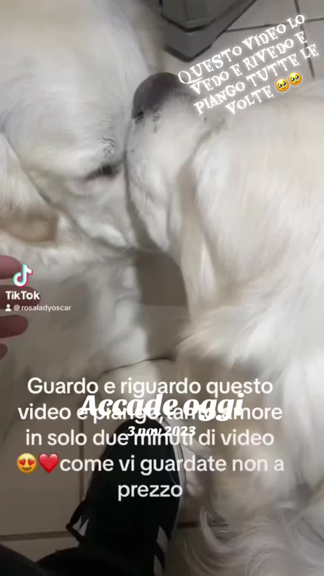 @Rosa🌹🌹Lady🌹🌹Oscar