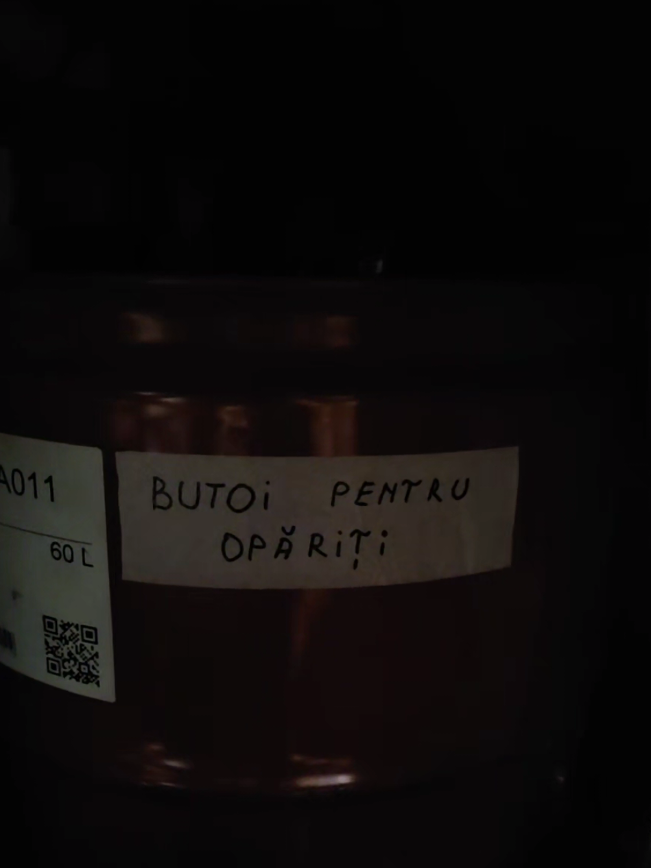 @🇷🇴 🚀Paul Piston🦈 🇷🇴