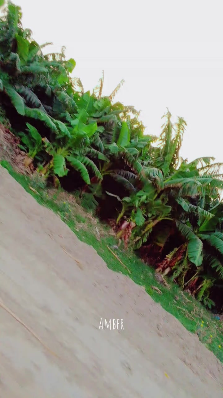 @ع𝓶ب𝓮ر 𝓐𝓻𝓪𝓘𝓷