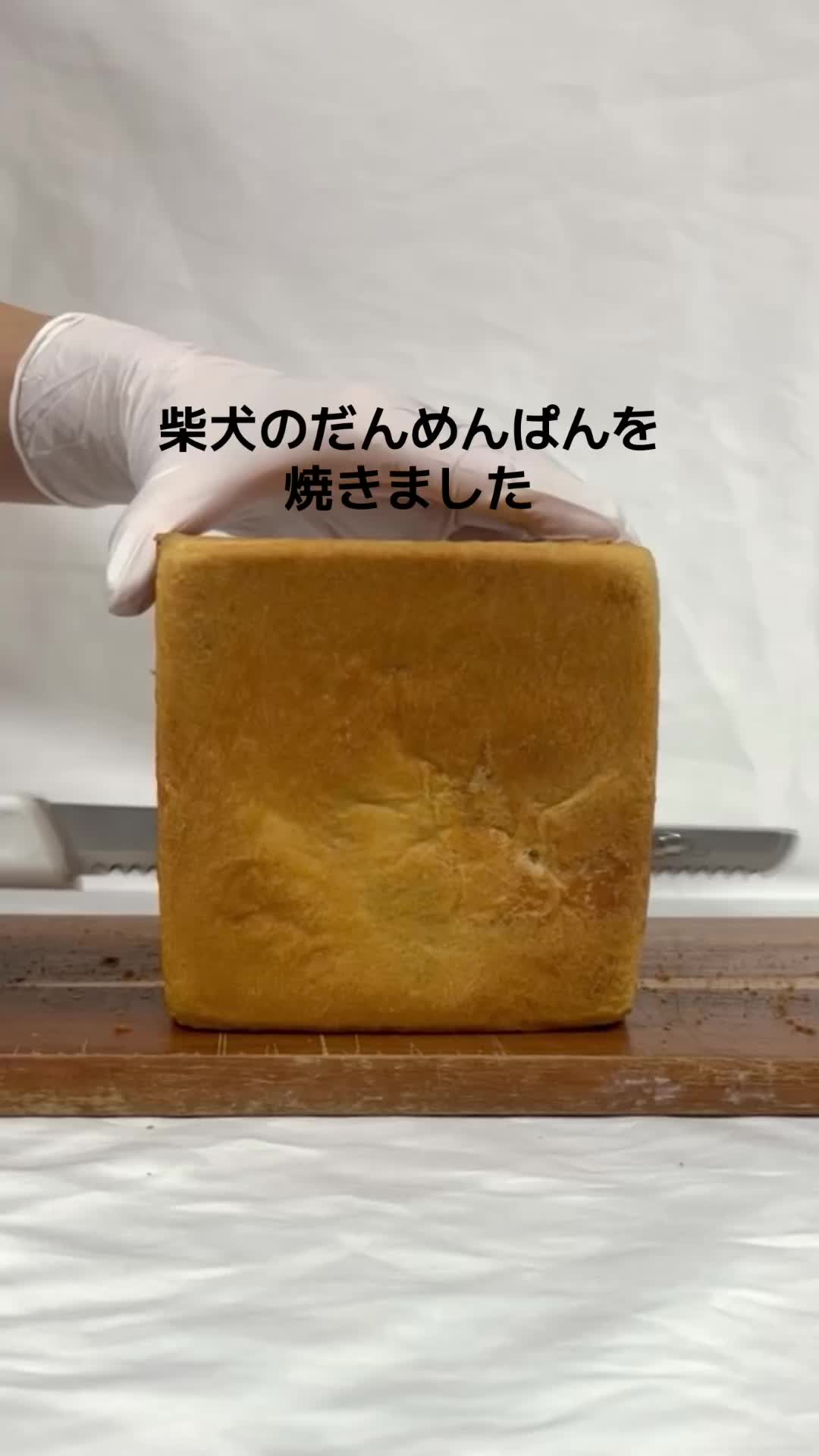 @izuyo0719