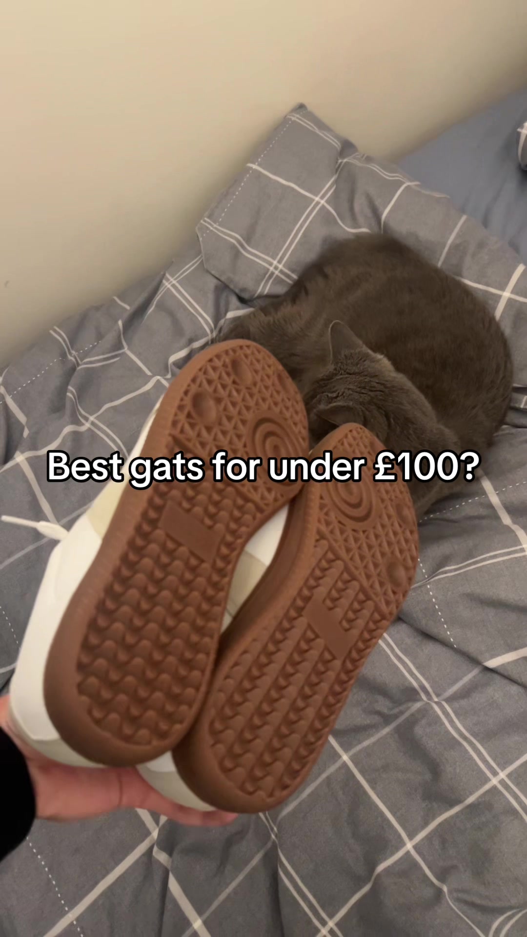 @haz_mp4