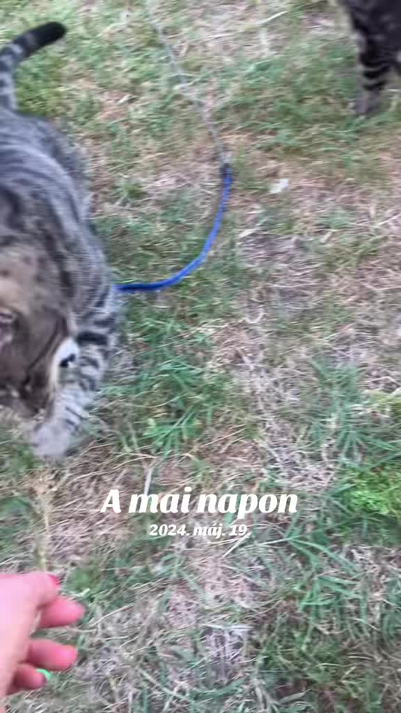 @Fodrász Timi