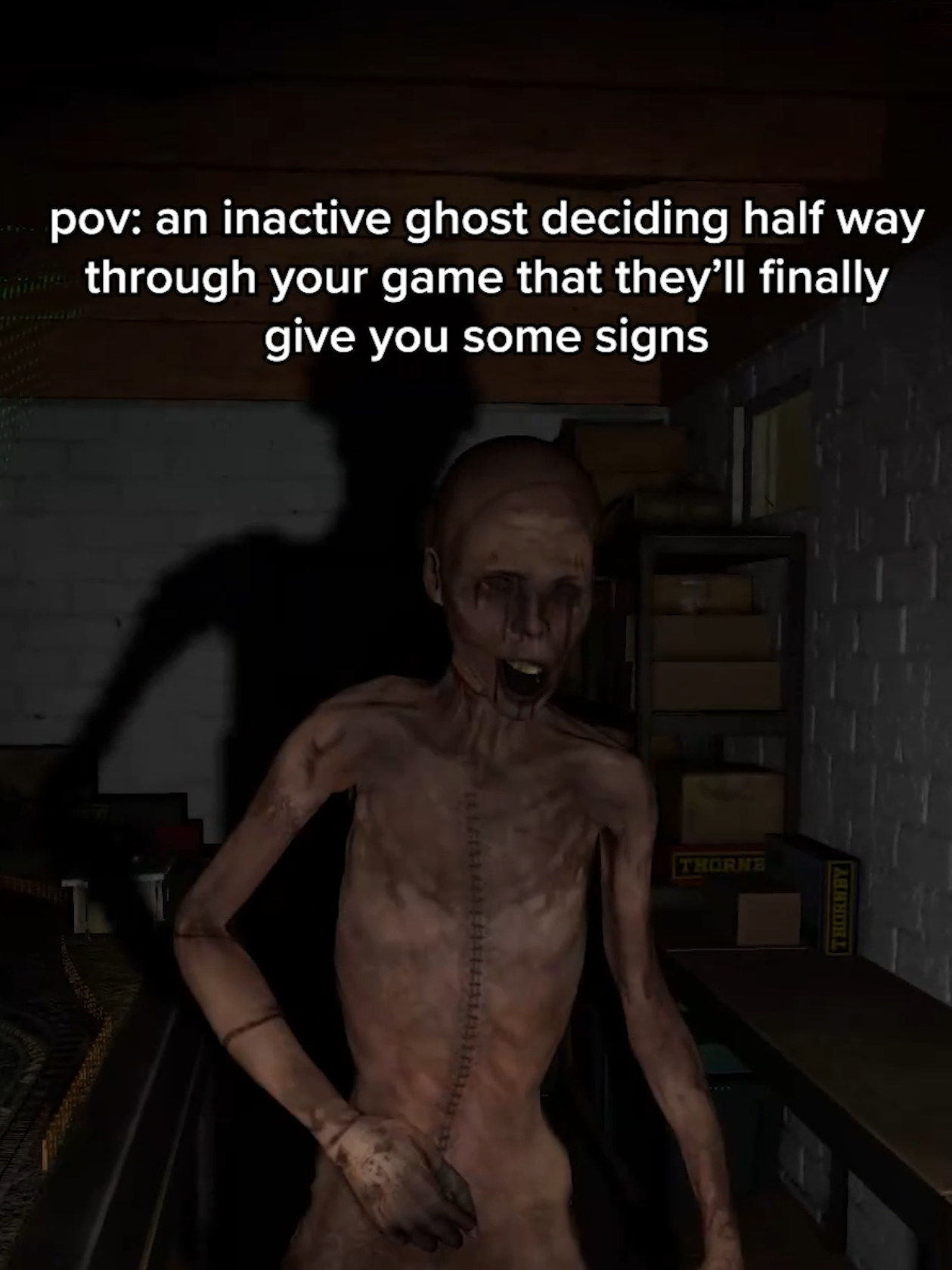 @Phasmophobia