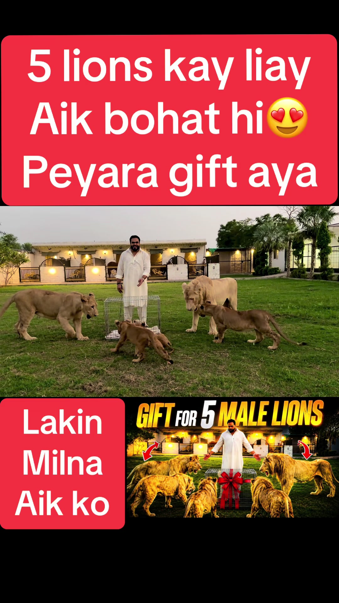 @Mian saqib