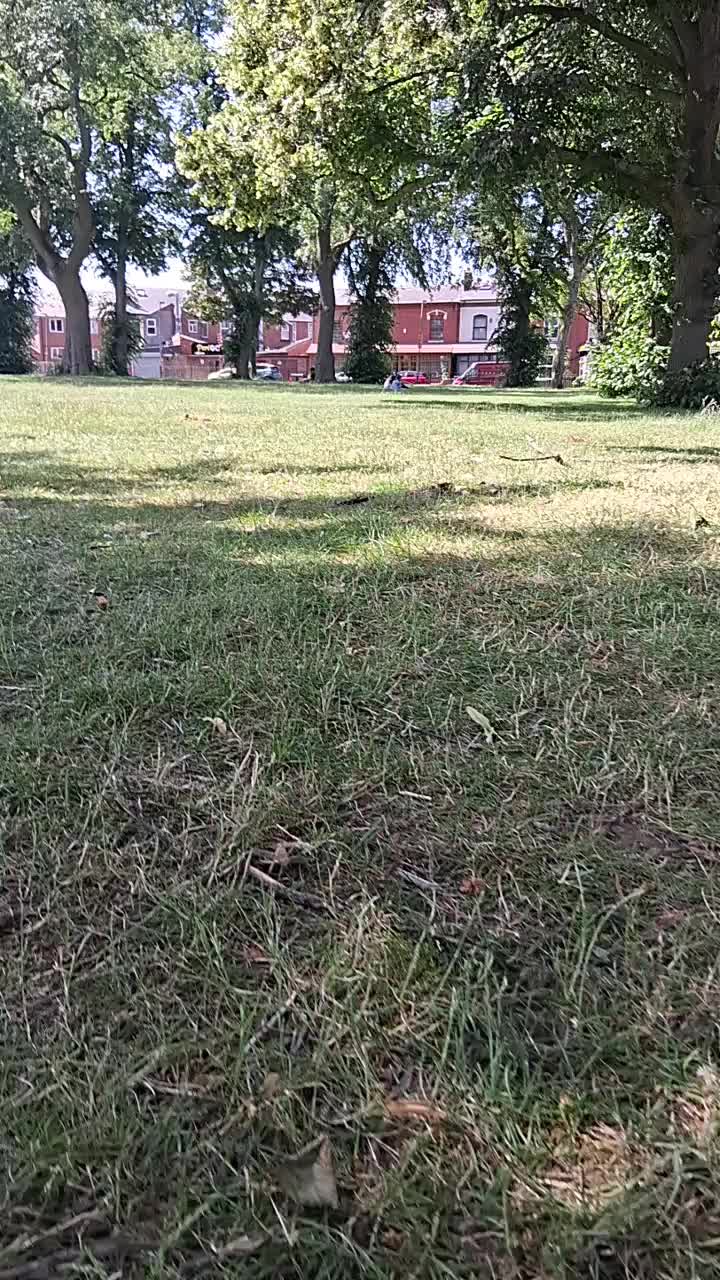 @ايات قرانية