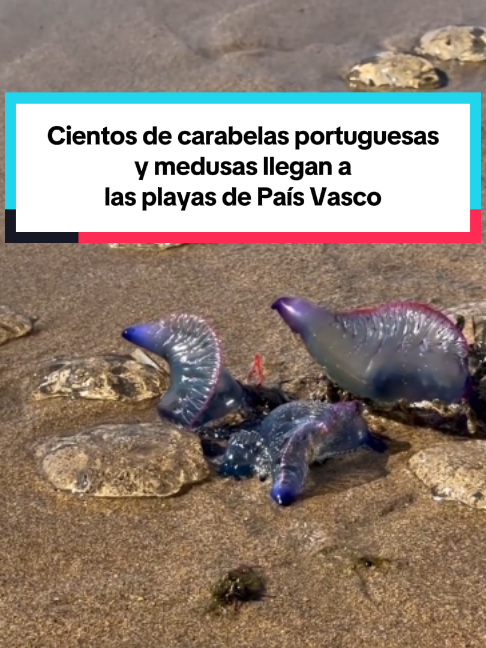 @El País