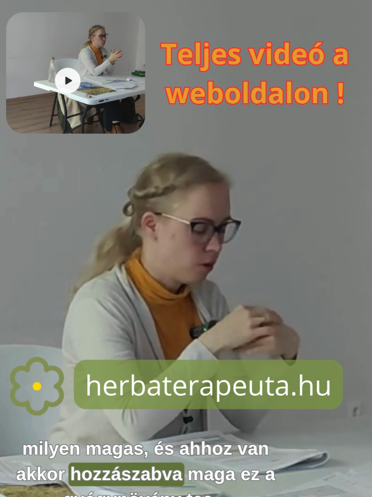@fitoadri