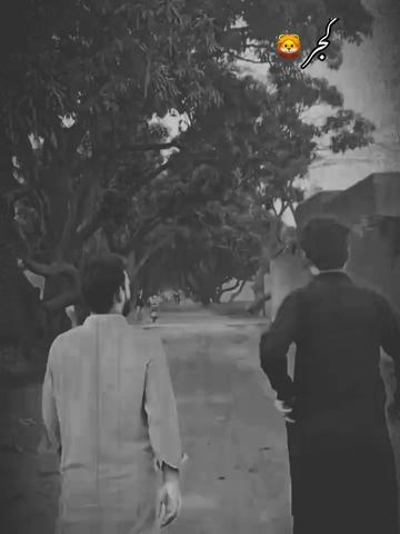 @ALI-GUJJAR👻