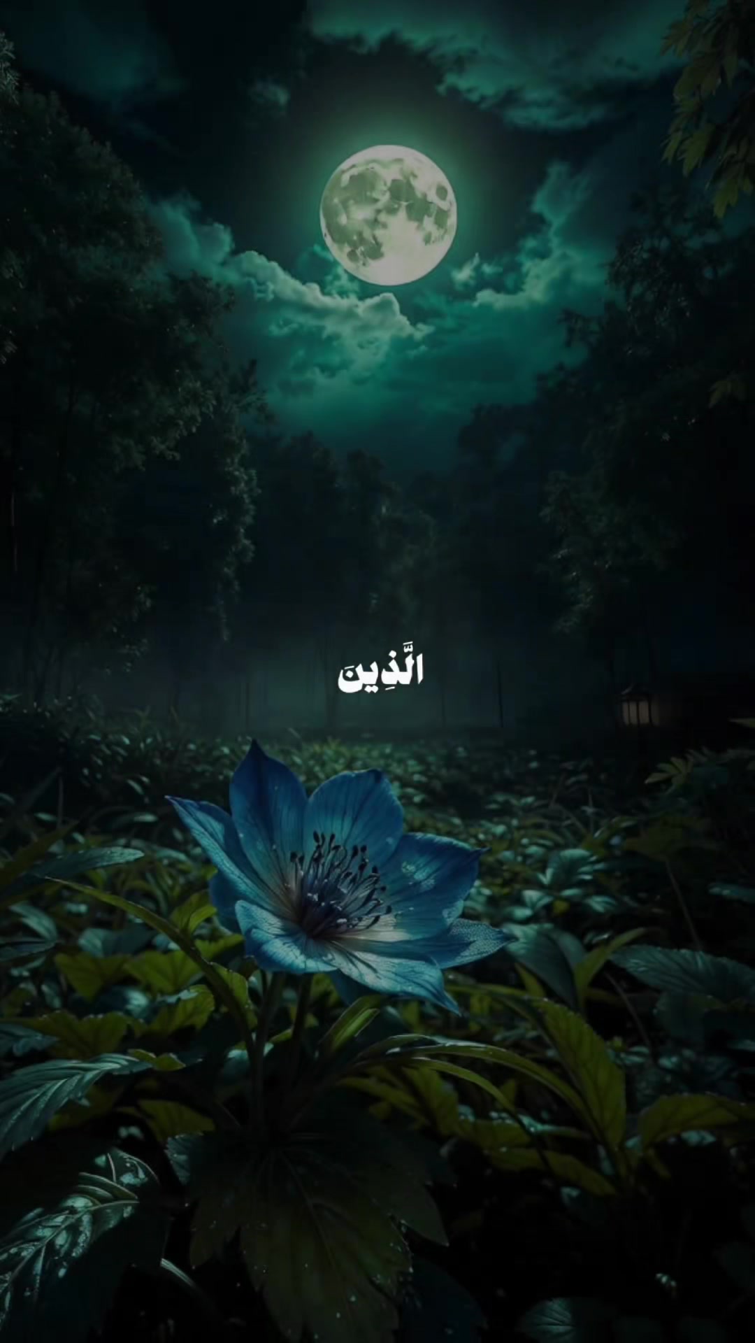 @Inspire By Quran