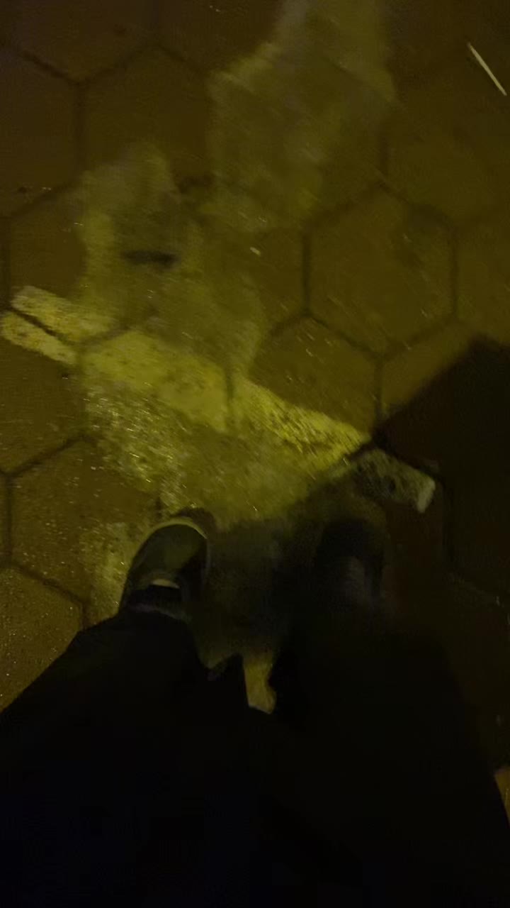 @Matvei Pronin